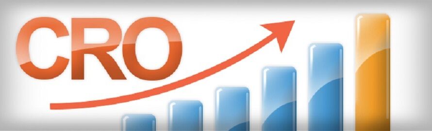 Conversion Rate Optimization Services Delhi